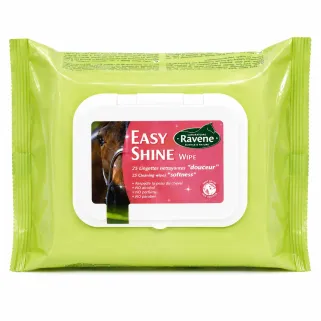 Easy shine whipe