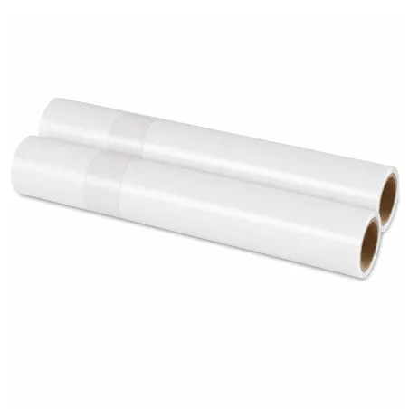 Rouleaux pour machine sous vide 5 m x 28 cm – Lot de 2