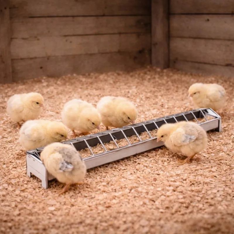 Mangeoire métal poussins 50 cm à barrettes avec couvercle