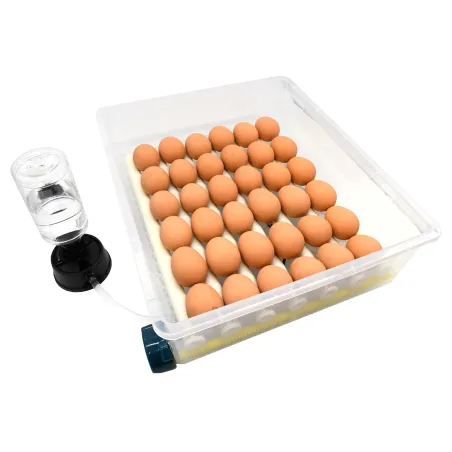Couveuse automatique Couvitech SP-36 - 36 oeufs idéale débutant incubation