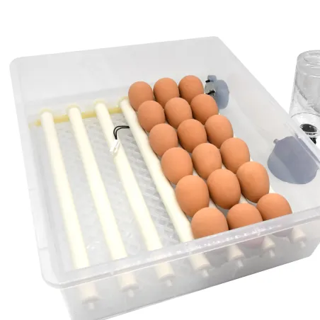 Couveuse automatique Couvitech SP-36 - 36 oeufs idéale débutant incubation