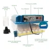 Couveuse automatique Couvitech SP-36 - 36 oeufs idéale débutant incubation