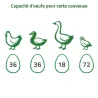 Couveuse automatique Couvitech SP-36 - 36 oeufs idéale débutant incubation