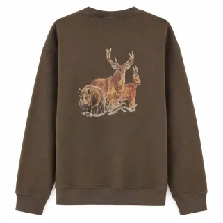 Sweat enfant grands animaux coton polyester kaki 6 à 14 ans
