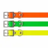 Collier Biogold petit chien ou chiot 11 couleurs