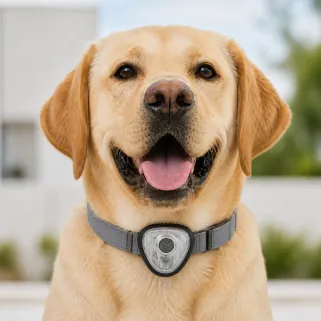 Répulsif électronique anti tiques et puces pour chien et chats