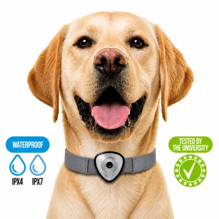Répulsif électronique anti tiques et puces pour chien et chats