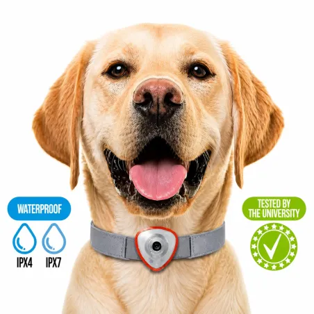 Répulsif électronique anti tiques et puces pour chien et chats