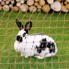 Filet électrifiable KERBL pour lapins