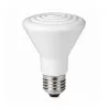Ampoule chauffante céramique 250 W