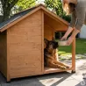 Niche en bois pour terrasse - Épicéa 150x120x120 cm