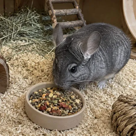 Nourriture pour chinchilla Premium 12,5 Kg