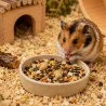 Nourriture Hamster