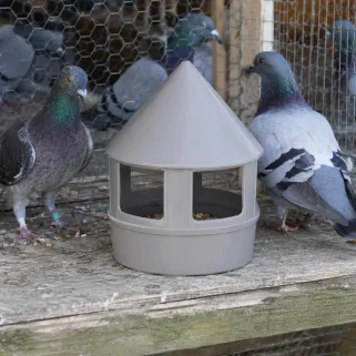 Mangeoire 1,5L à grit en plastique pour pigeons