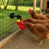 Abreuvoir automatique cage clapier volailles et oiseaux godet Ø3,8cm Olba