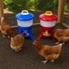 Kit Impérial Mangeoire & Abreuvoir 30L pour Volailles - Bleu/Rouge/Blanc Gaun