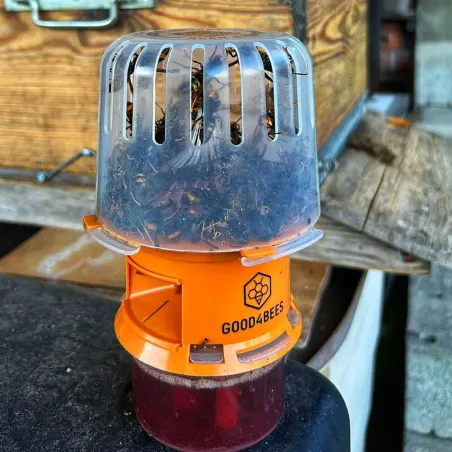 Piège sélectif V2 Good4Bees pour frelons asiatiques + 2 attractants