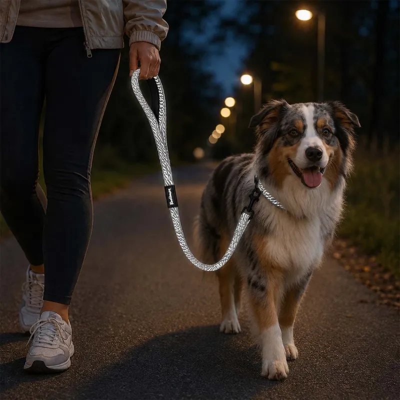 Laisse pour chien avec poignée réfléchissante - Gris 100 cm