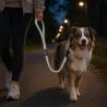 Laisse pour chien avec poignée réfléchissante - Gris 100 cm