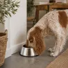 Gamelle haute intox pour chien à longues oreilles 1825 ml