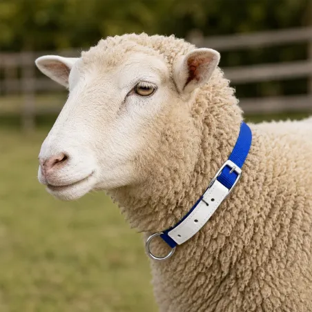 Collier moutons et chèvres nylon vert