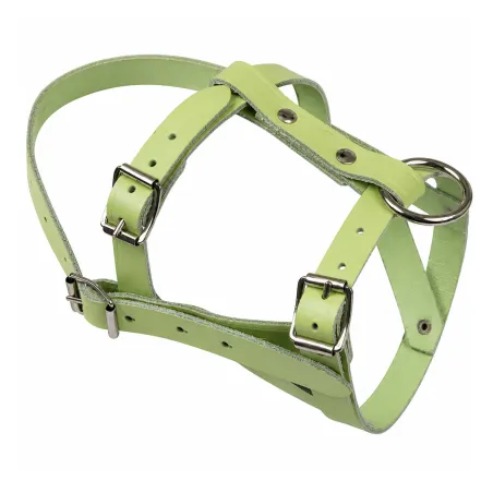 Licol pour mouton ou bélier en cuir