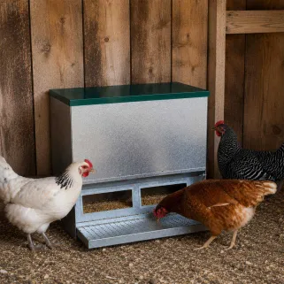 Mangeoire Trémie Anti-Nuisible Rooster 20kg - Acier Galvanisé pour Volailles