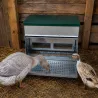 Mangeoire Trémie Anti-Nuisible Rooster 20kg - Acier Galvanisé pour Volailles