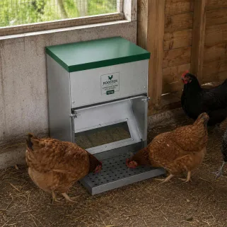 Mangeoire Trémie Anti-Nuisible Rooster 10kg - Acier Galvanisé Gris/Vert