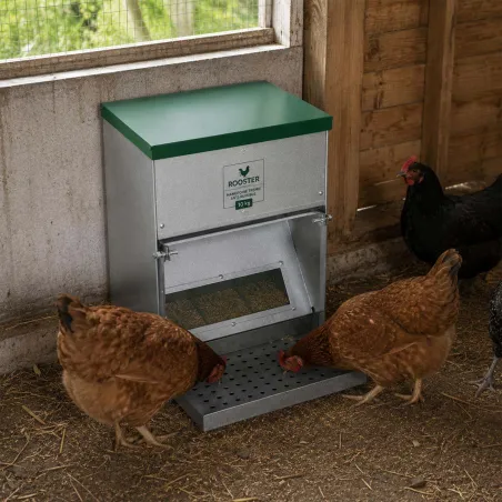 Mangeoire Trémie Anti-Nuisible Rooster 10kg - Acier Galvanisé Gris/Vert