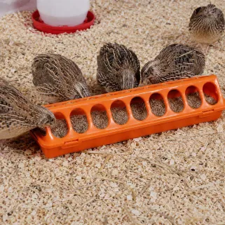 Mangeoire linéaire à trous plastique 30 cm poussins et cailles - Orange GAUN