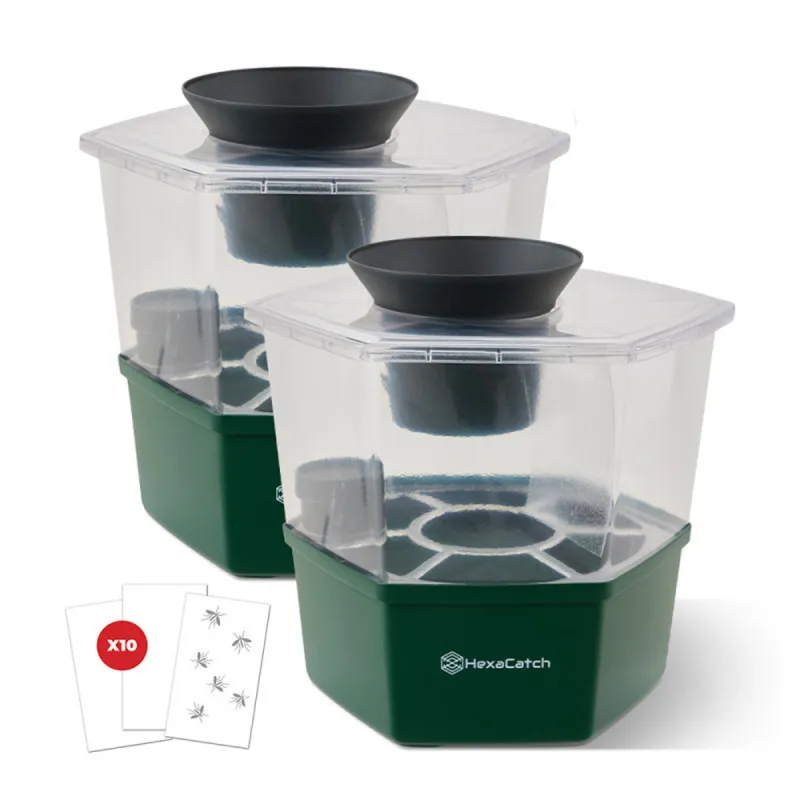 Lot de 2 pièges anti-ponte moustiques Hexacatch