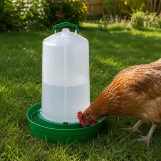 Abreuvoir base profonde pour volailles 12 litres