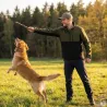 Veste Softshell Tralnor 3 couches déperlante capuche amovible