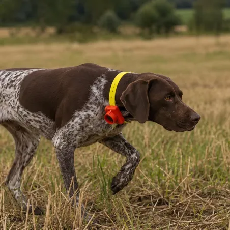 Collier de dressage Prohunt Beeper orange – 2 modes