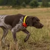 Collier de dressage Prohunt Beeper orange – 2 modes
