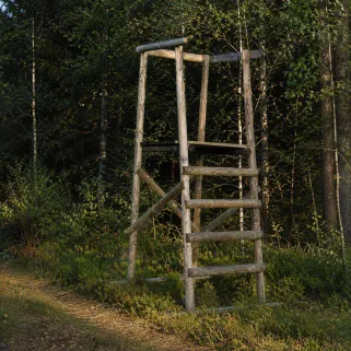 Poste de battue Sologne bois – plancher 1,40 m | Ducatillon