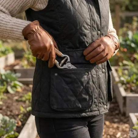 Gilet Walker and Hawkes Haxby Vert Coton Ciré Femme