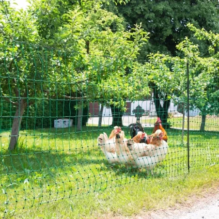 Filet poule non électrifiable H106 cm Longueur 25 m double