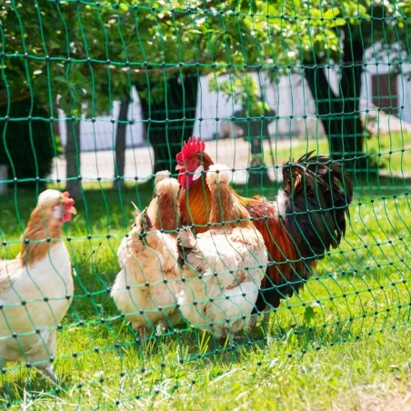 Filet poule non électrifiable H106 cm Longueur 25 m double