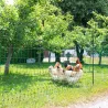 Filet poule non électrifiable H106 cm Longueur 50 m simple