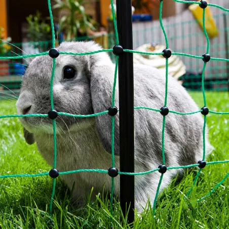 Filet électrifiable KERBL pour lapins