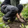 Pantalon de travail Donjon – résistant et fonctionnel