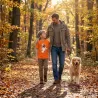 T-shirt enfant épagneul coton doux orange 6 à 12 ans