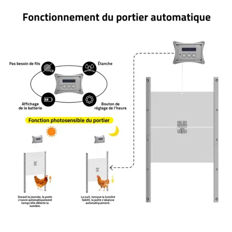 Kit Portier Breedsafe pro +1 trappe poule avec programmation et/ou sonde lumineuse + 4 piles