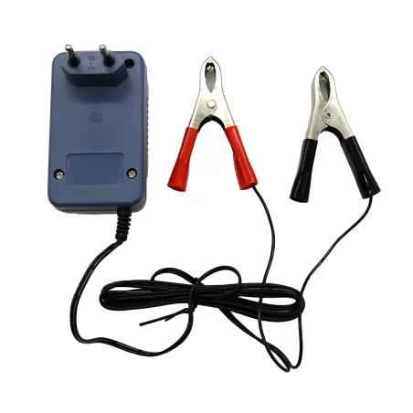 Chargeur de batterie 6V/12V