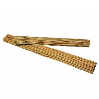 9 Tuteurs en bambou naturel Hauteur 180 cm