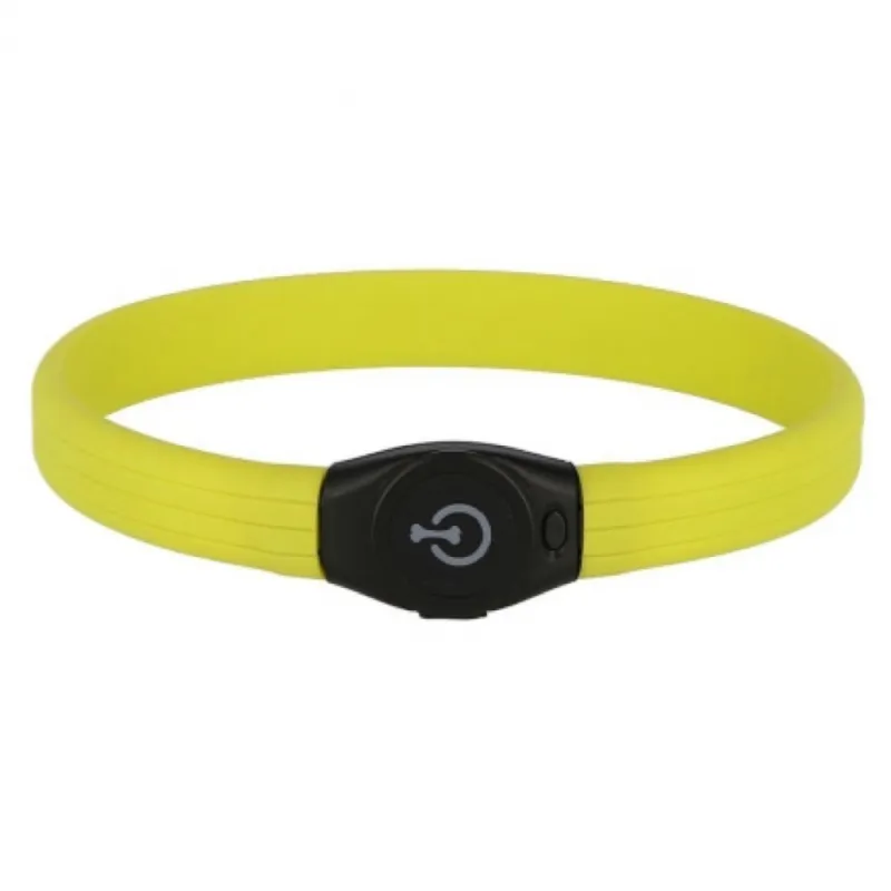 Collier lumineux à LED pour chien rechargeable USB