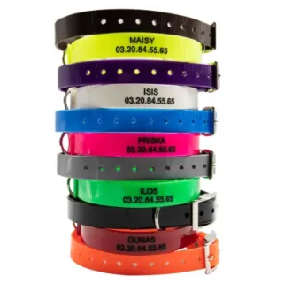 Colliers à graver dans la masse BIOGOLD petit chien et chiot 11 couleurs