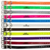 Colliers à graver dans la masse BIOGOLD petit chien et chiot 11 couleurs